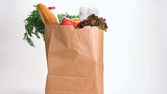 bag of healthy groceries