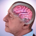 Computer created of a brain in the head of an older man