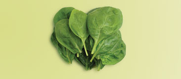 Cup of uncooked leafy vegetables